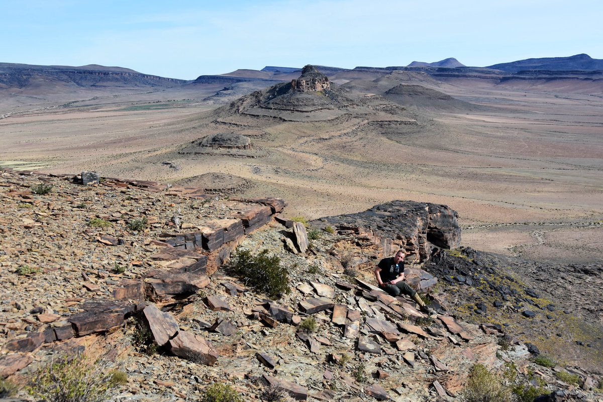 A unique Precambrian creature (<a href="/willmcmahon92/">William McMahon</a>) basking in his natural habitat… Our next magical mystery tour is coming in hawt ! 👀