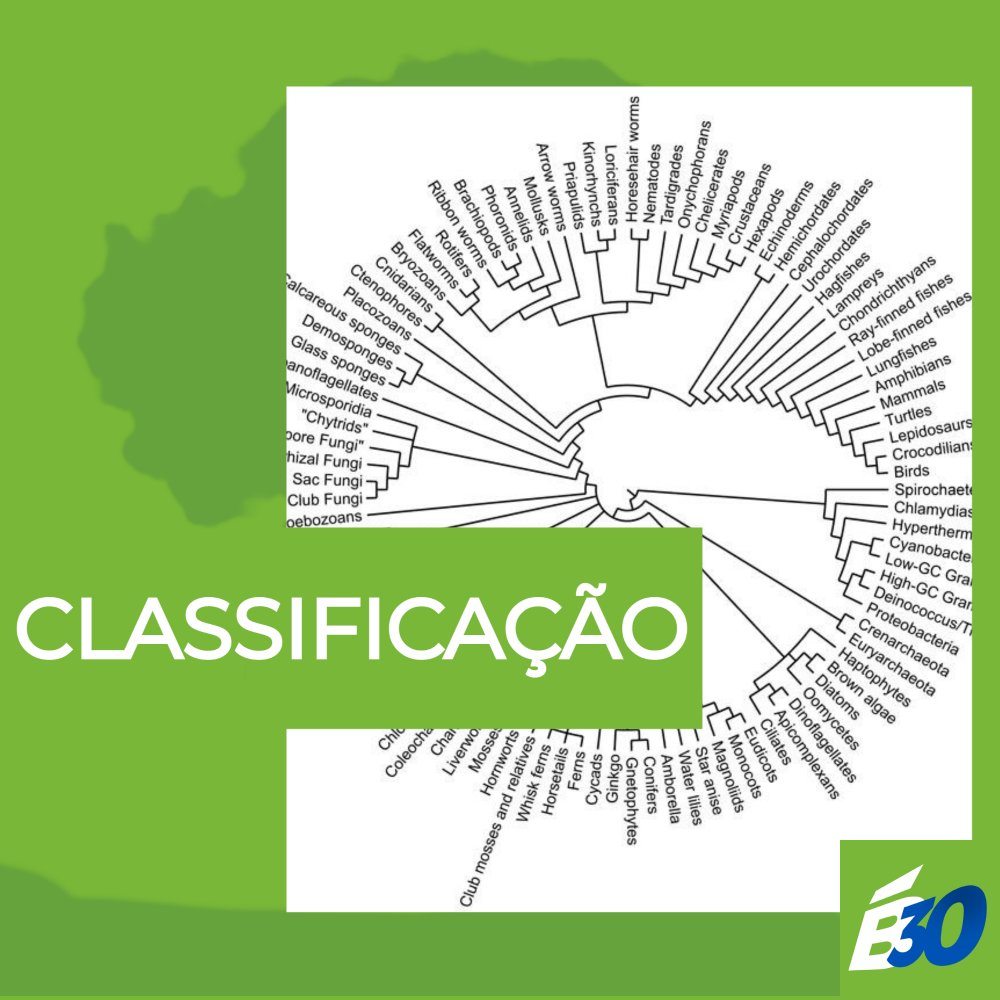 b30podcast's tweet photo. O mundo biológico contém uma quantidade incrível de diversidade e para falarmos sobre esse mundo, suas características e relações, é importantíssimo que a gente descreva, nomeie e classifique tudo isso. Descubra com a Mila Massuda como a CLASSIFICAÇÃO BIOLÓGICA foi criada. https://t.co/ZeC43oSOPe