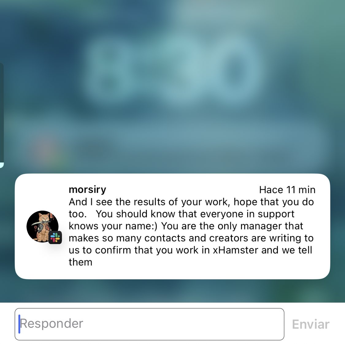 Les recuerdo a todos los interesados que si un día no sienten confianza con el hecho de que no tenemos en esta cuenta suficientes seguidores, con mis credenciales siempre pueden dirigirse directamente a la empresa y preguntar en soporte por mí. 🙏🏽😎 https://t.co/nKvUAwjF0x