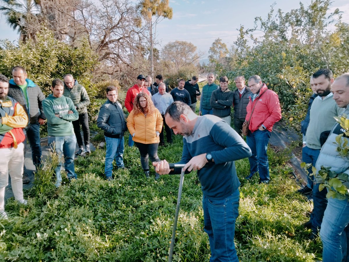 IfapaJunta's tweet photo. 📌Último día de formación en mango y aguacate en #Málaga

✅Los alumnos han aprendido a favorecer la biodiversidad, luchar contra la erosión y usar el suelo agrícola como aliado en el secuestro de carbono

💚Prácticas beneficiosas para el #MedioAmbiente y la fertilidad del suelo https://t.co/gFKY6gm93n