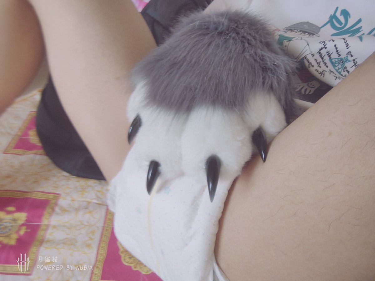 新人报道姆，是一只喜欢尿布和小裙子的小奶猫呐~~\(≧▽≦)/~