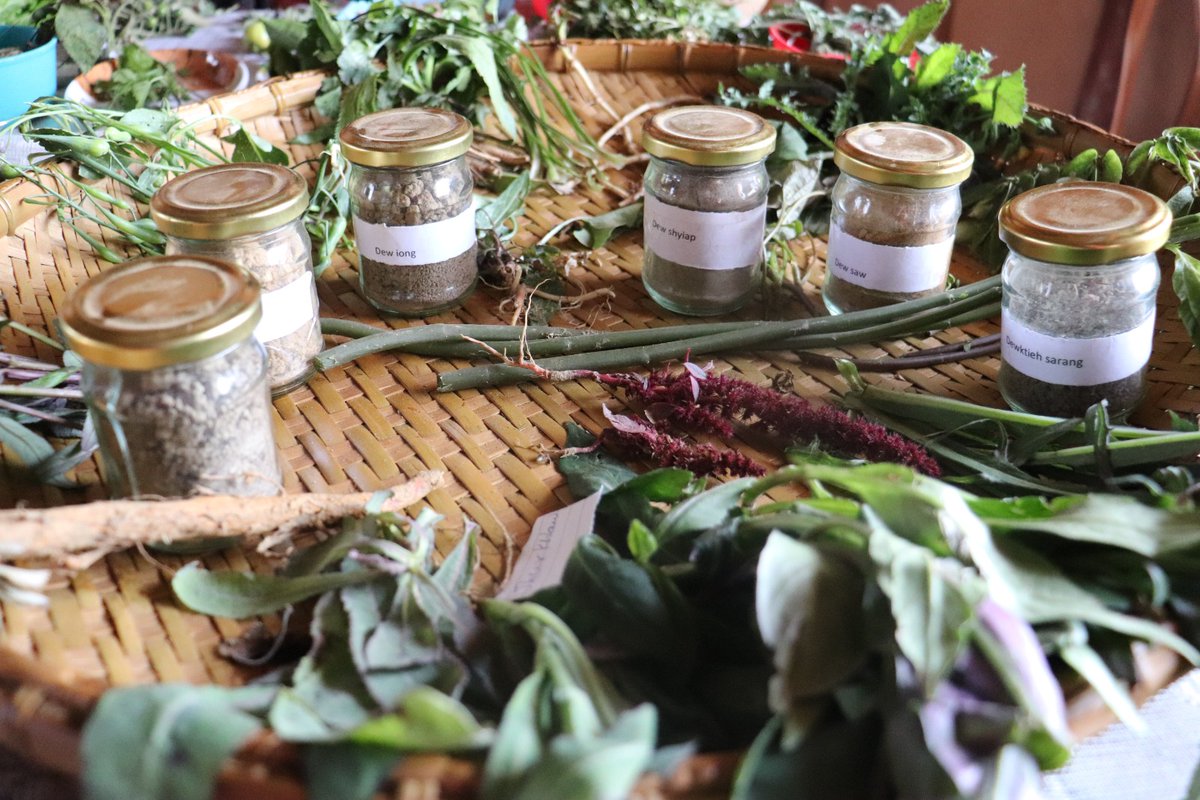 mbda_meghalaya's tweet photo. 🌱Members of the Agroecology Learning Circle, an initiative of NESFAS funded by MBMA as part of an Innovation Grant under the World Bank aided CLLMP at Jatah Lakadong village, #EKH, shared their experiments' findings to MBMA team led by Gunanka DB, IFS, APD, #MegLIFE & #CLLMP. https://t.co/U7aSbZc18e