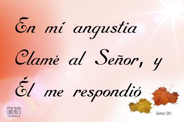 josefelixcar77's tweet photo. Todos sin excepción pasan por días de angustias, pero, solo aquellos que claman por ayuda, consiguen bendición!
Cuando fue puesto en angustia, imploró el favor del SEÑOR y se humilló delante de Dios. Él oró a Dios, quien aceptó su oración y oyó su súplica. #2Cron.33:12-13
#Rpsp https://t.co/2cls9SyXD5