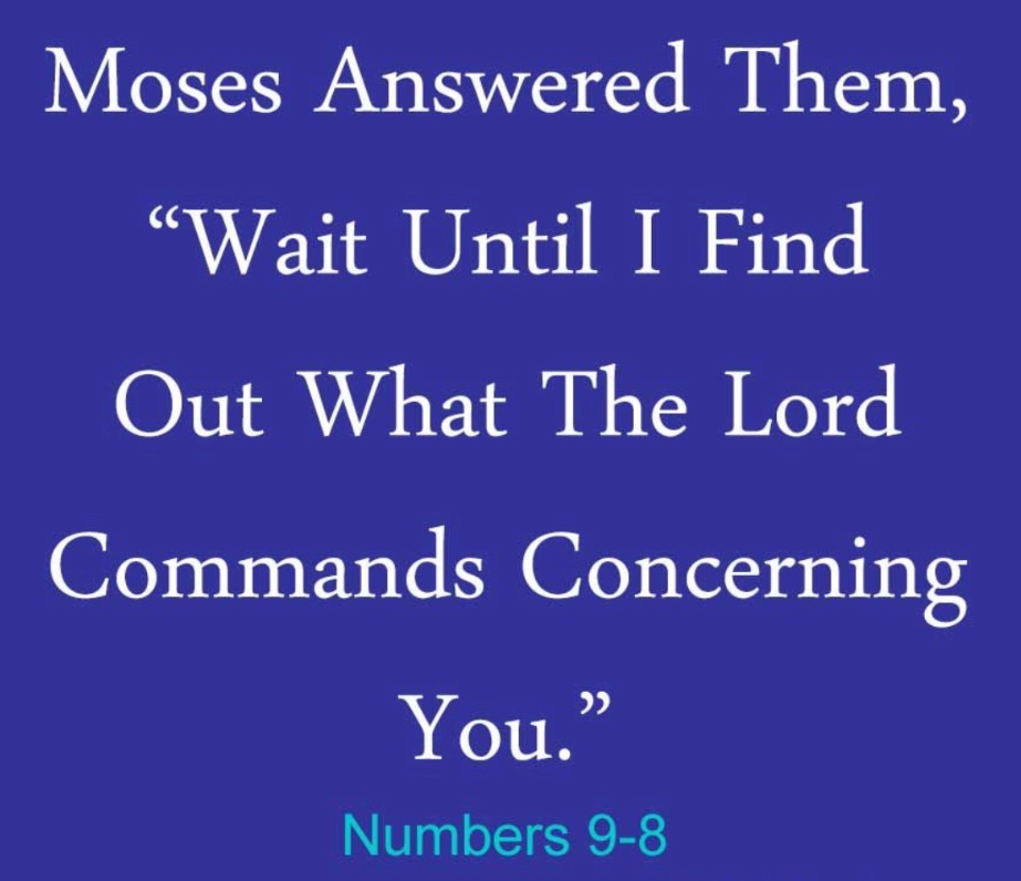 RDeliye's tweet photo. Day 811 #TigrayGenocide 
❤️💛

“Wait until [you] find out what the LORD commands concerning you.”
Number 8:6

Wait on the Lord for justices all brutally raped, killed, tortured, starved, burned&amp;forced flee 💔

Justice for Tigray will come from the Lord ክወግህ እዩ። #FreeTigray https://t.co/cC5M0F7A6f