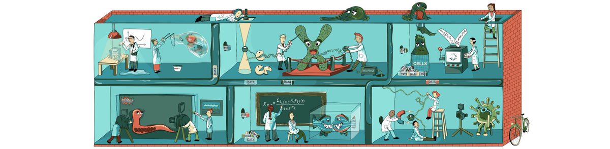 PhysicsAstron_'s tweet image. 📢Our webpage has been updated with the latest in experimental and theoretical research on the Physics of Living Systems.🦠
@gwuite @CBroedersz @Dulin_Lab
👉vu.nl/en/about-vu/mo…