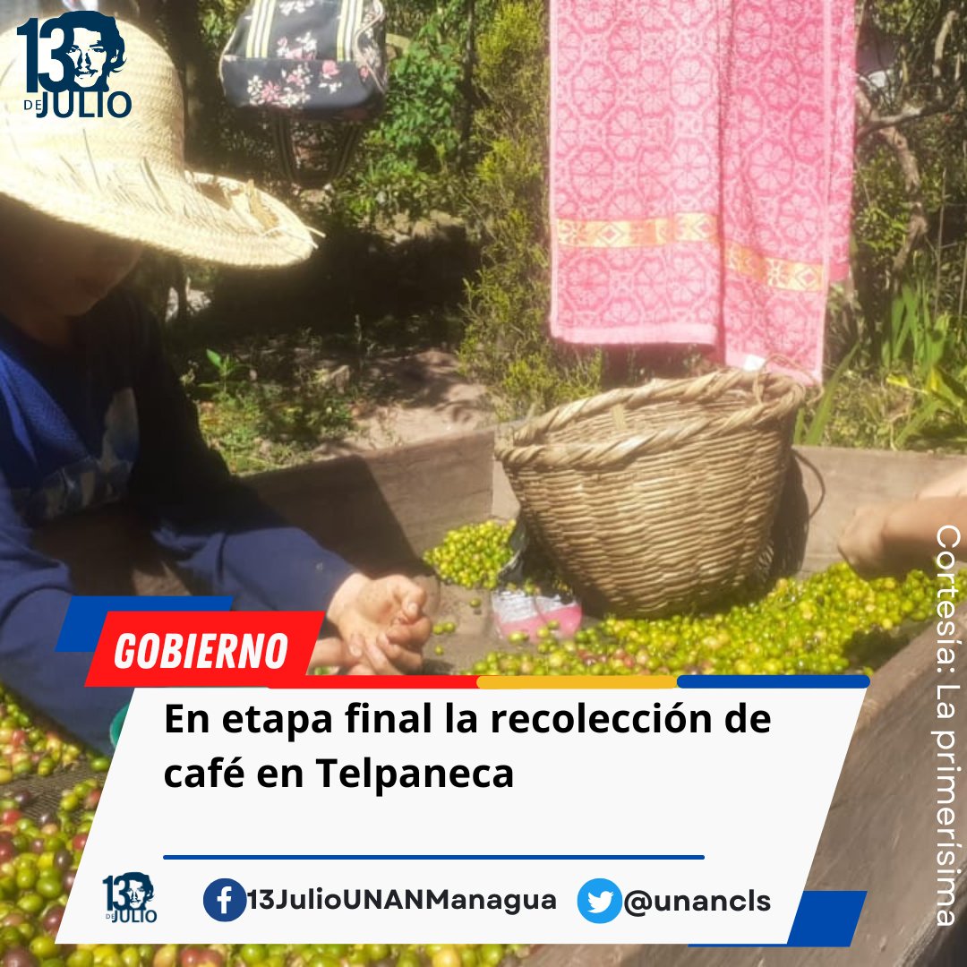 En etapa final la recolección de café en Telpaneca
#Nicaragua
#MasVictoriasPuebloPresidente