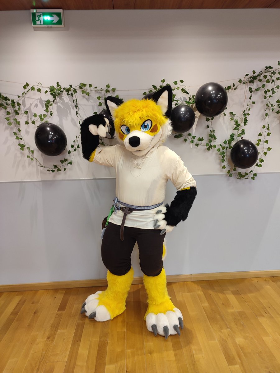 NormandiFurs's tweet photo. Faites attention aux guerriers de la FCD4 !
#normandifurs #furcalvadance https://t.co/z58MQaEBry