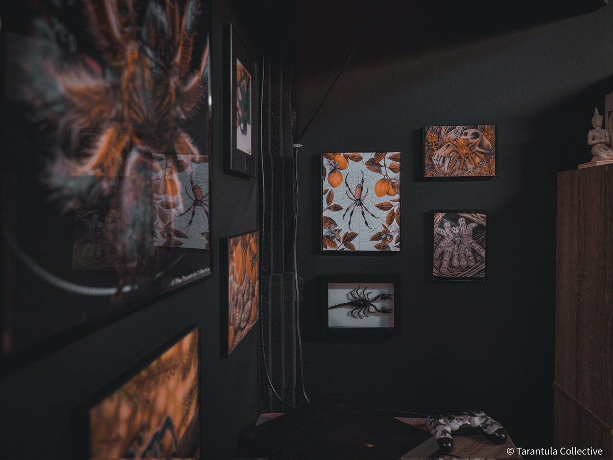 TheTarantulaCo1's tweet photo. Finally have the lobby of the studio set up. It is about time to start inviting other youtubers over to the studio. Any suggestions on collabs you'd like to see? https://t.co/V8C0MW32yD