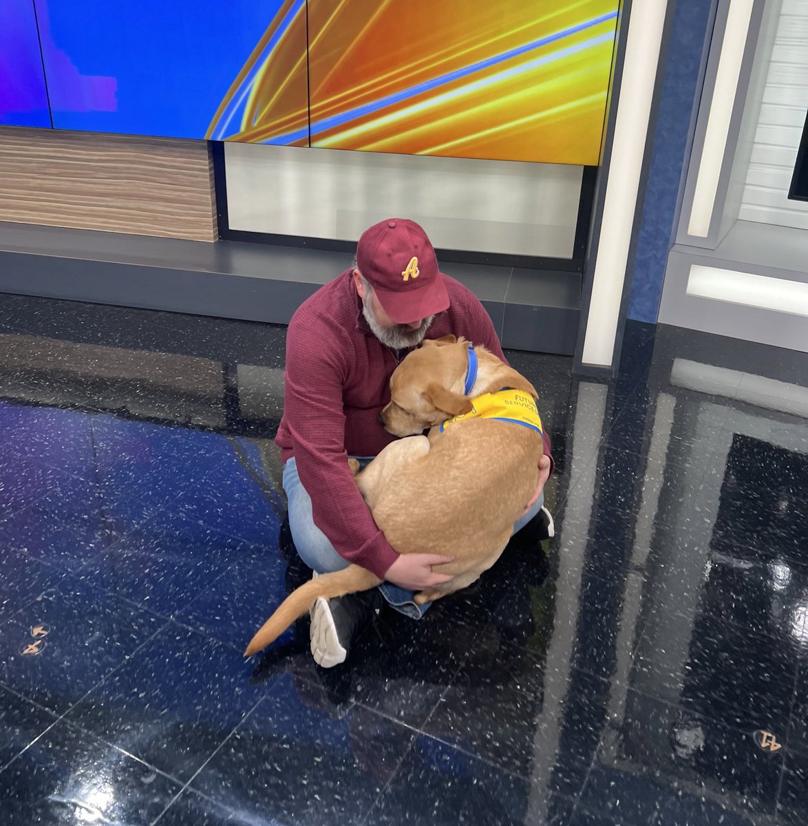 ajconn95's tweet photo. Brutus nestling in for a pre-weekend nap. @nbc4i @canineorg https://t.co/LBokEaz1h7