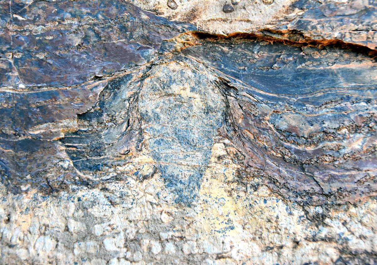 A spicy yet taseful Ediacaran deep-water stromatolite from the Nama Group. This little darling colonized a debris flow and then spent the rest of its life surviving (probs not thriving) under a light pummeling of sediment! #rebuild #RIP
