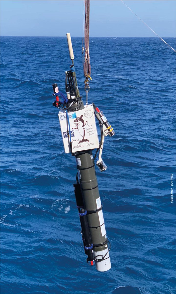 ERC REFINE (@erc_refine) on Twitter photo ↪️Recently, 2 additional REFINE #ProfilingFloats were deployed from the #MarionDufresne, this time east of the #Kerguelen plateau. This is an oceanic zone were iron limitation is expected to be alleviated. They too have been adopted by classes👋<a href="/AdoptaFloat/">adopt a float</a> ↪️Recently, 2 additional REFINE #ProfilingFloats were deployed from the #MarionDufresne, this time east of the #Kerguelen plateau. This is an oceanic zone were iron limitation is expected to be alleviated. They too have been adopted by classes👋<a href="/AdoptaFloat/">adopt a float</a>