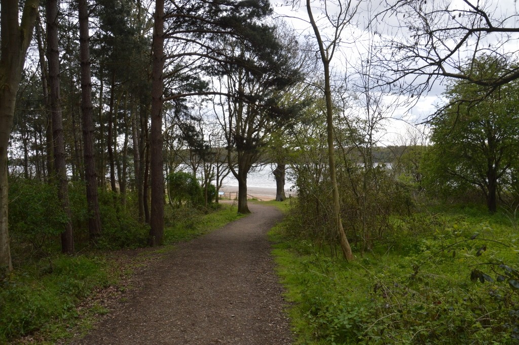 TheSuffolkMan's tweet photo. #Lovely, I used to love those riverside walks especially #bluebell time! This one #BridgeWood #RiverOrwell #Suffolk https://t.co/7iU7Bacfh8