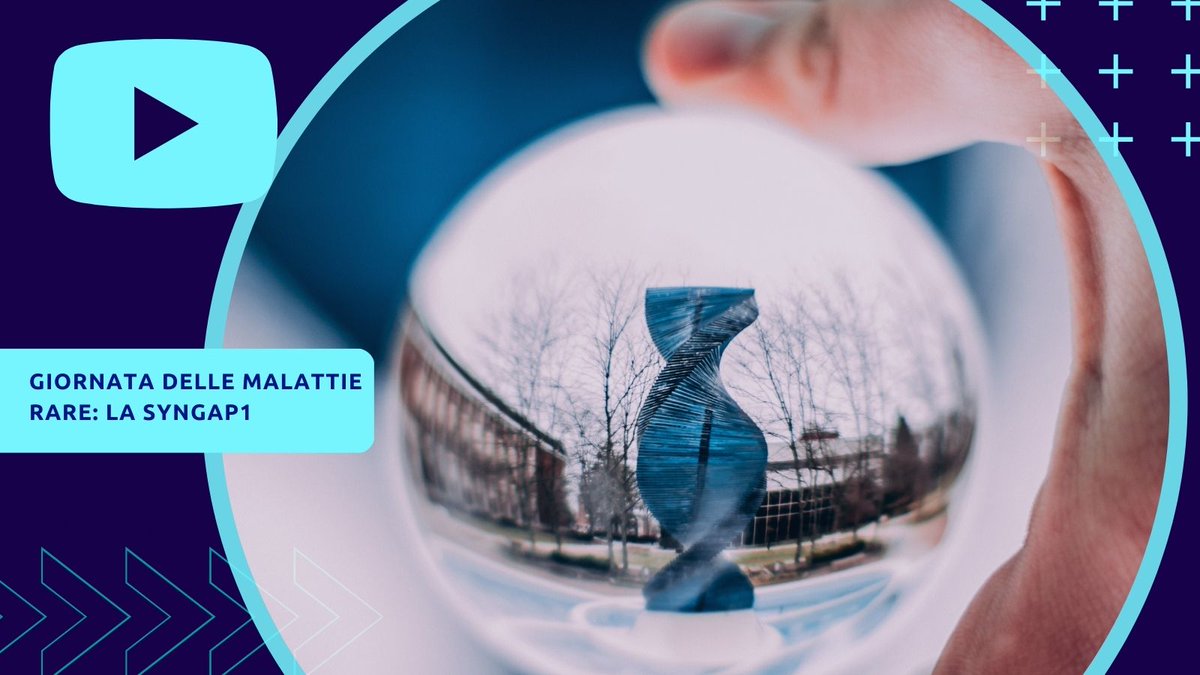 AIFI_nazionale's tweet image. ▶️ Il 23/2 torna #AIFIChannel!
Parleremo della malattia genetica #Syngap1 con l'Ass Famiglie Syngap1 Italia e con il neuropsichiatria Tommaso Lo Barco, insieme al @GisPediatrica e al #GISFisioterapiaNeurologica.
Ti aspettiamo alle 21 su AIFI Channel!
🔔aifi.net/aifi-channel-s…