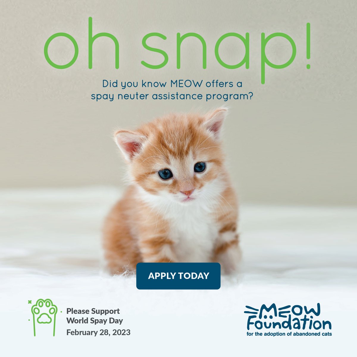 Did you know that female kittens can get pregnant at 4 months? Too many kittens and not enough homes. This is a problem and MEOW can fix-it! Apply to our Spay Neuter Assistance Program (SNAP) today. meowfoundation.com/programs/spay-… . . . #meowfoundation