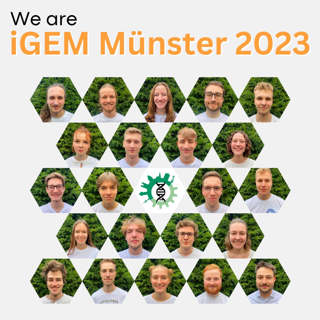 iGEM_Muenster's tweet photo. https://t.co/F6bbg2DJYU