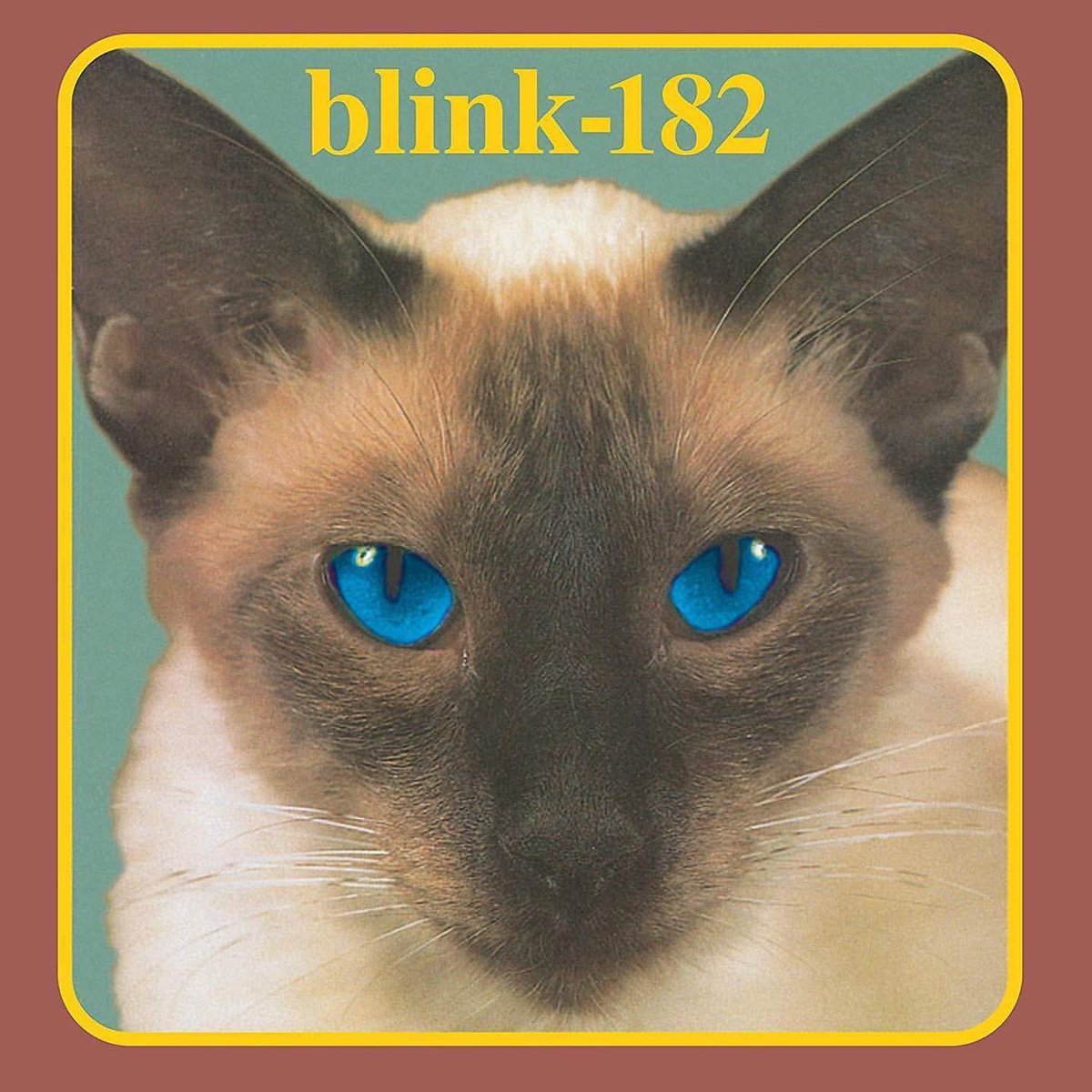 blink182italia's tweet photo. On this day 28 years ago, blink-182 released Cheshire Cat! 🐱 https://t.co/oXhB5vnf98