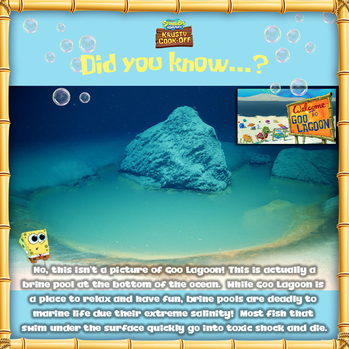 Goo Lagoon IRL isn't all that fun or inviting. 👀 #spongebobkrustycookoff #cookinggames #mobilegames #spongebobtrivia #spongebobfacts #goolagoon #brinepool #marinebiology #marinescience #spongebob #spongebobsquarepants