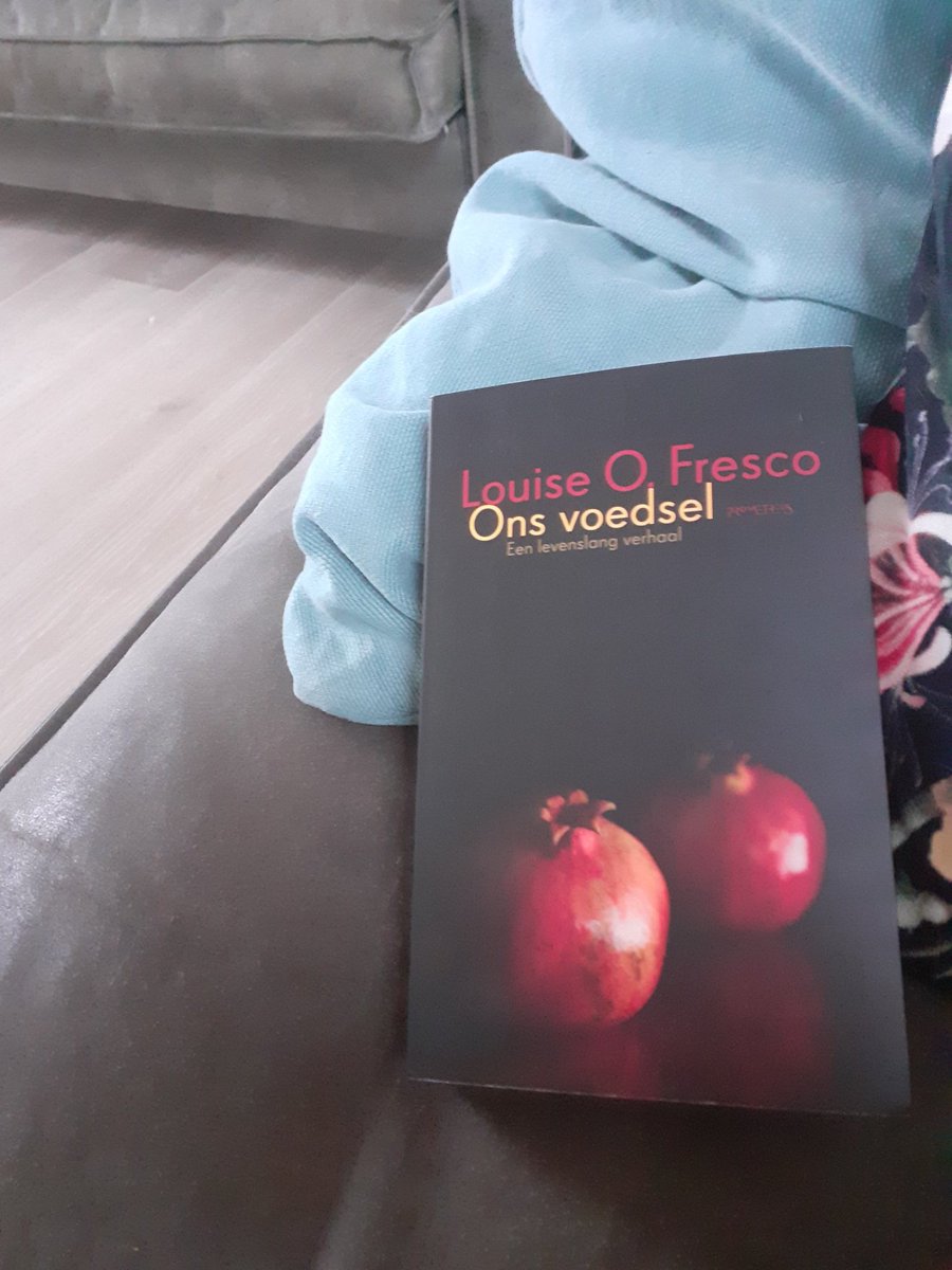 ahvangoor's tweet photo. @sabinegrobbink @WijaKoers @Soetman @LouiseOFresco @WijaKoers zit nog in de Zeven Zussen dus ik mag eerst! En het is prachtig weer voor een boek, lekker op de bank bij de kachel, dat treft!! https://t.co/xvJZv9kfWN