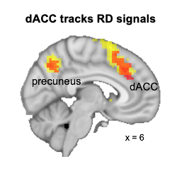 YaominJ's tweet photo. Importantly, learning is location-dependent such that individuals are influenced more by an observation if the observee is better-connected and themselves are less-connected. dACC tracks the relative connectedness between the observee and observer at the time of observation. (7/n https://t.co/eCymvbvXGa