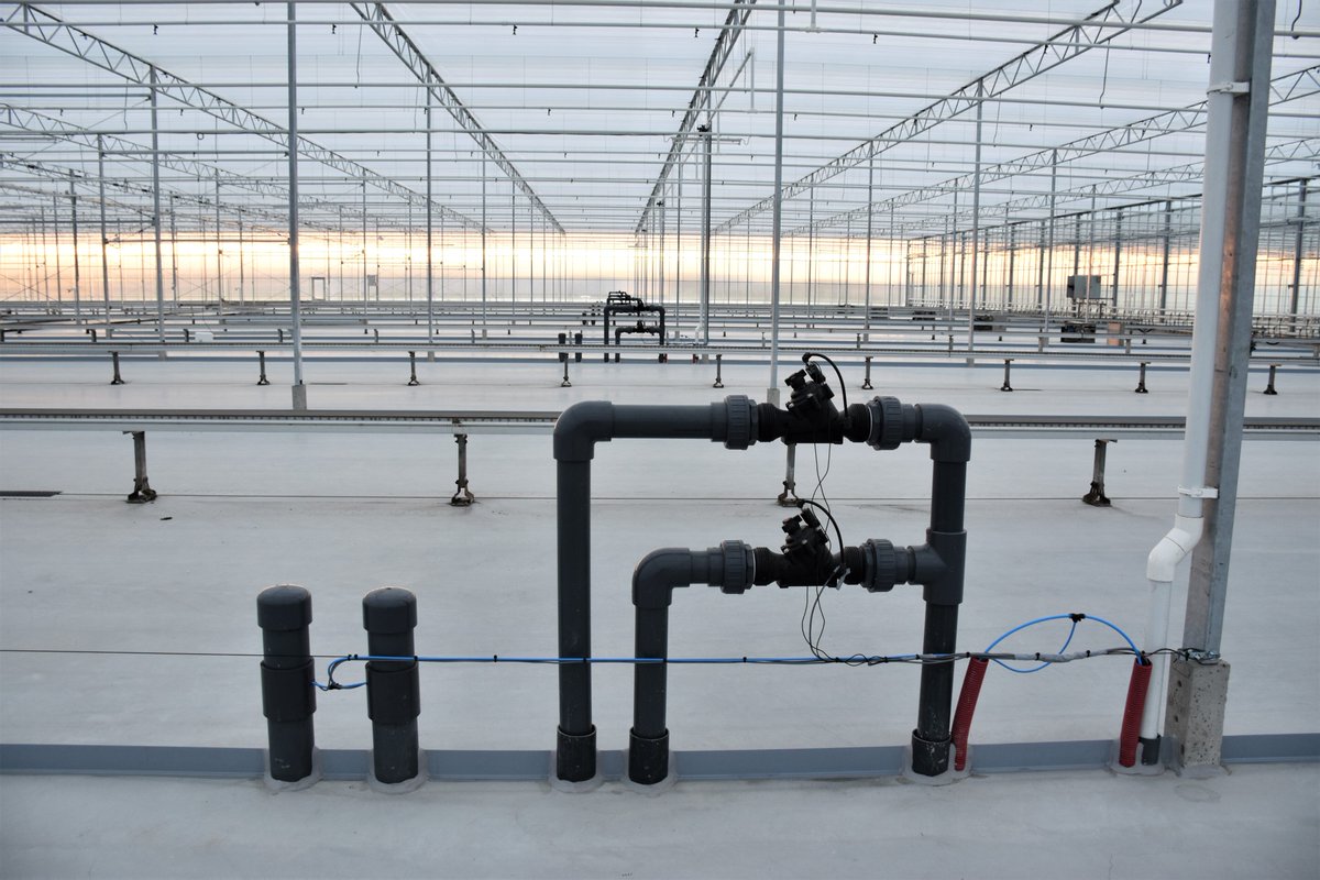 Wist je dat wij eb- en vloedinstallaties installeren? 💦 Wij kijken naar efficiënt #watermanagement, zodat water niet wordt verspild of verkeerd ingezet. Meer weten of interesse? Bel +31 15 369 60 42 of mail info@montera.nl! #irrigatie #ebenvloed #kwekerij #glastuinbouw