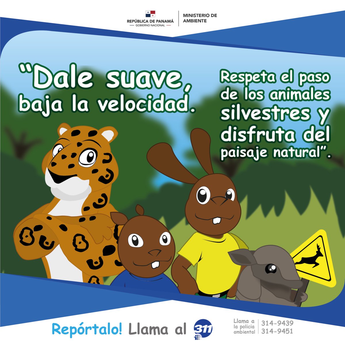 Reducir la velocidad 🚦 en la vía para reducir atropellos, salva la vida de todos, incluyendo la vida silvestre como perezosos, hormigueros, armadillos, venados y hasta jaguares.