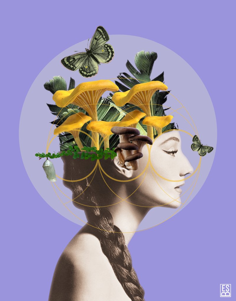 emmasanbed's tweet image. Collage digital de estos días. #digitalcollage #collagemaker #collageartist