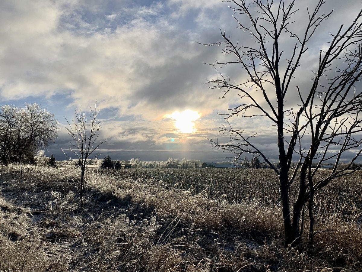 JennyCaroline72's tweet photo. Puslinch Ontario is beautiful this morning     @weatherchannel @weathernetwork https://t.co/xQ8OQOhhBQ