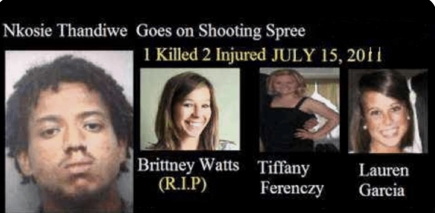 In summary, schools teach students to hate whites, people act on it, and whites get hurt. Then Big T
