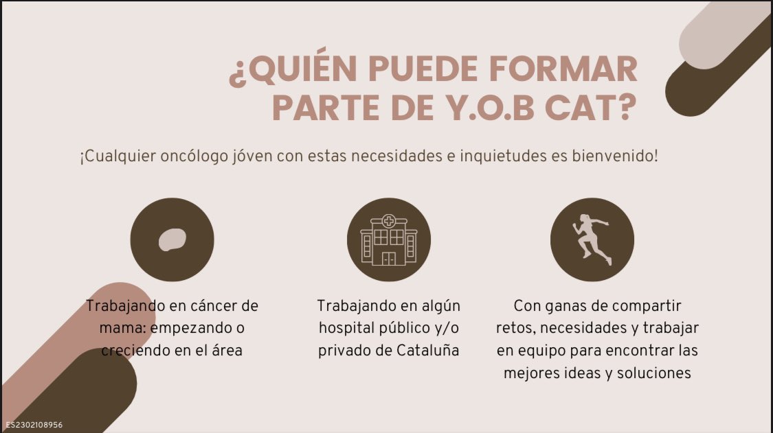 YOB_Cat's tweet photo. Qué es Y.O.B Cat?👇🏼 https://t.co/rt4L18KHp4