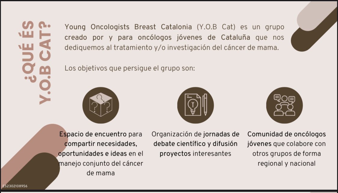 YOB_Cat's tweet photo. Qué es Y.O.B Cat?👇🏼 https://t.co/rt4L18KHp4