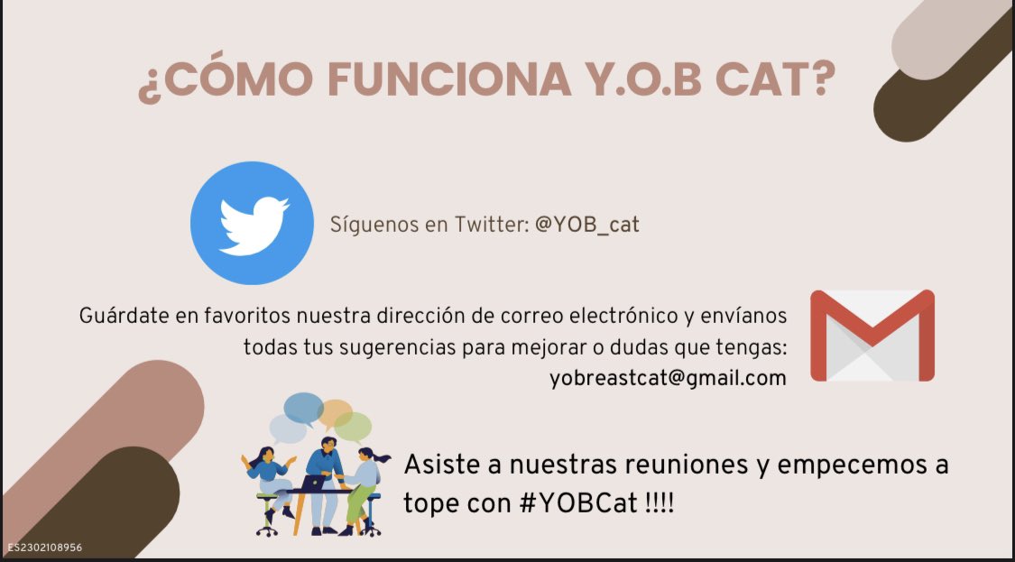 Qué es Y.O.B Cat?👇🏼