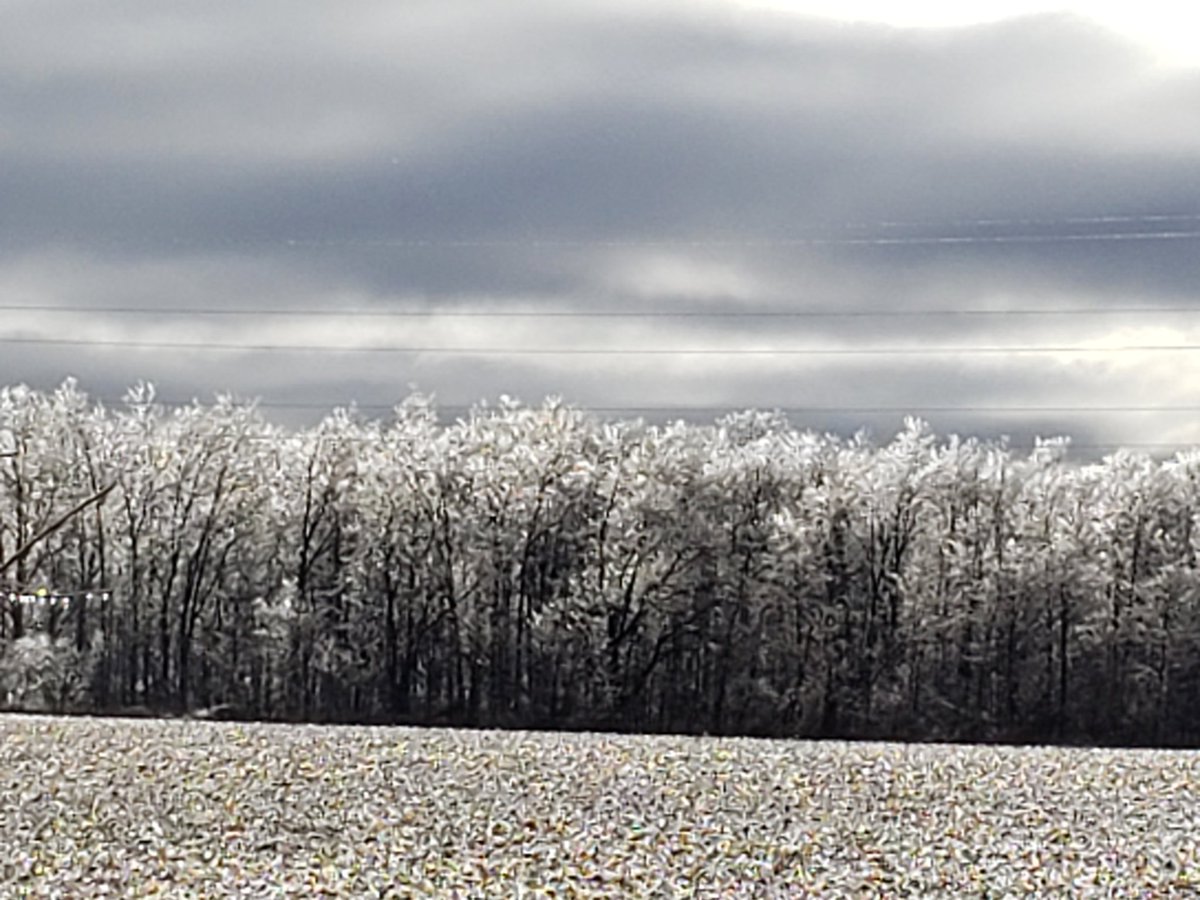 798ea80ff2024f5's tweet photo. @FrankFerragine after the ice storm beauty. From Tavistock Ontario. https://t.co/o257dS6wE4