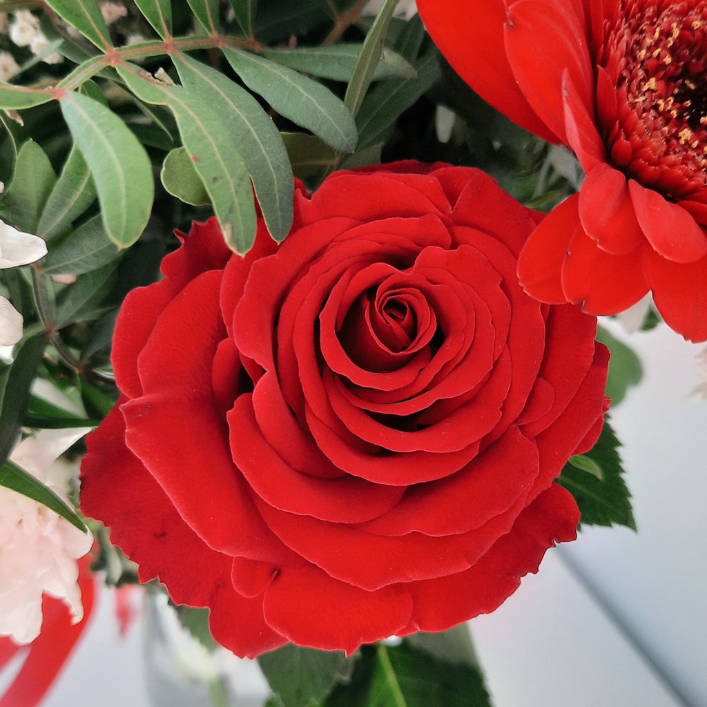 Yumixico's tweet photo. Le plus beau des bouquets 💐 https://t.co/r0ohQpksXz