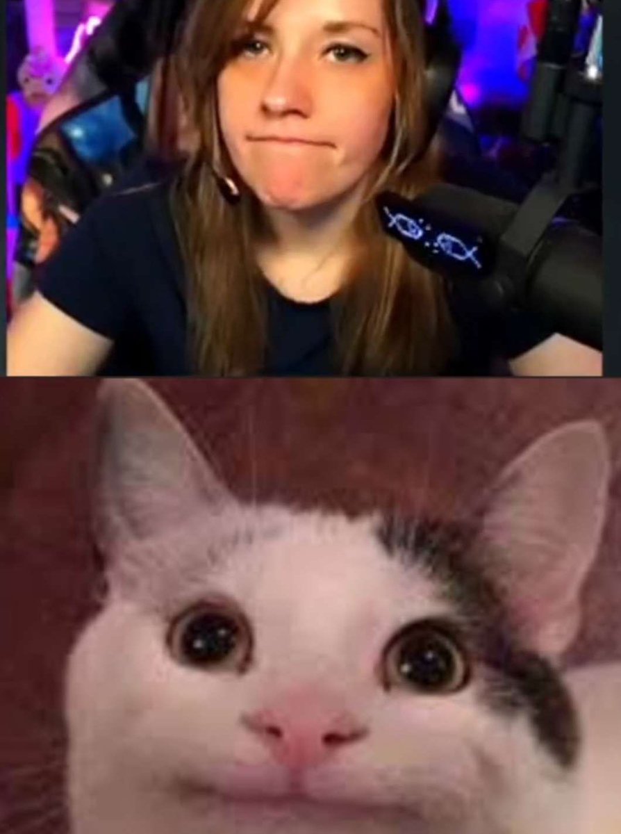 The meme section in the discord never disappoints 😂💜 thank you <a href="/Jboogiedagreat/">Boogz</a> for the laugh