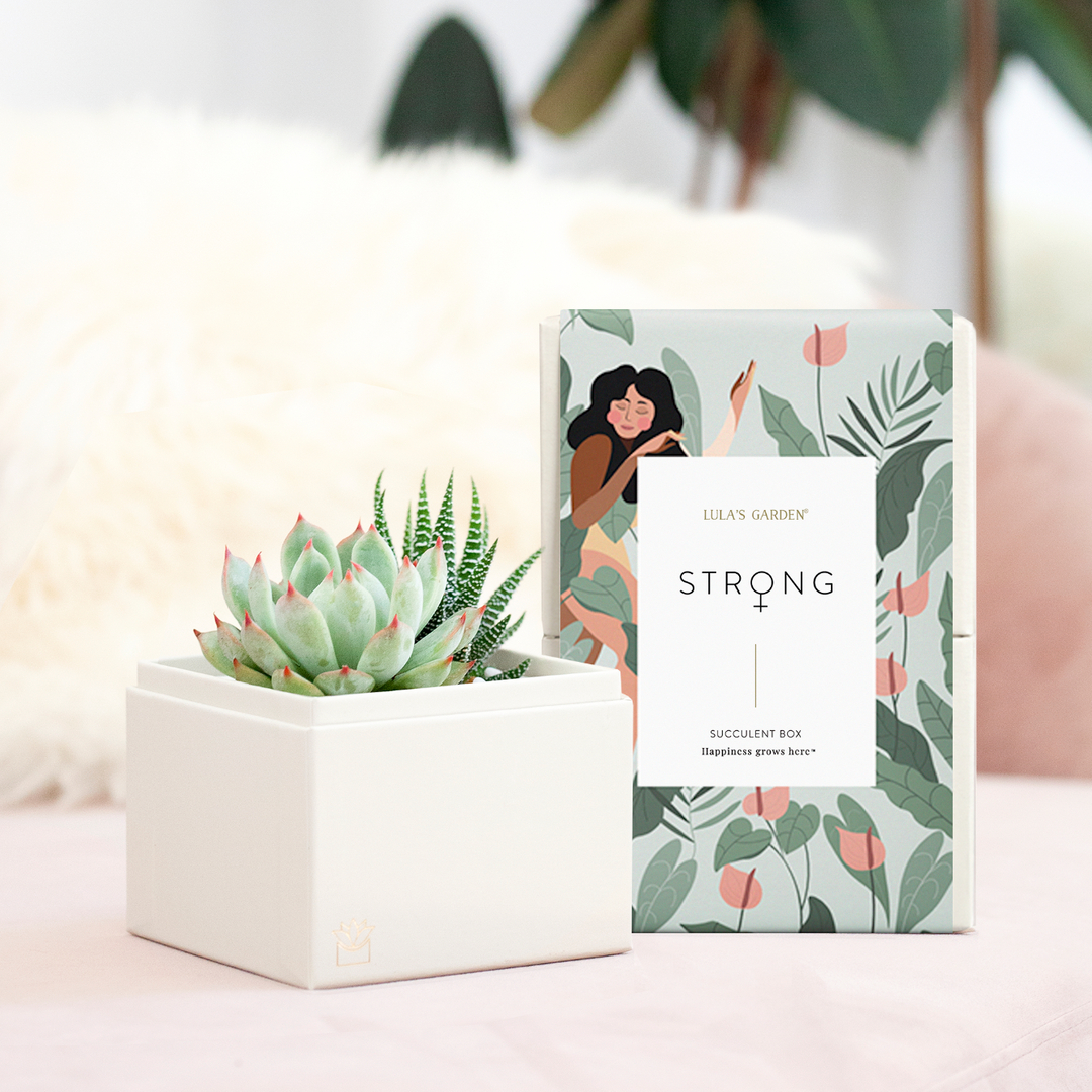 March is Women's History Month. Celebrate all inspiring women in your life with a succulent Garden as resilient as she is! Send the women in your life a gift to brighten up their day. 💪