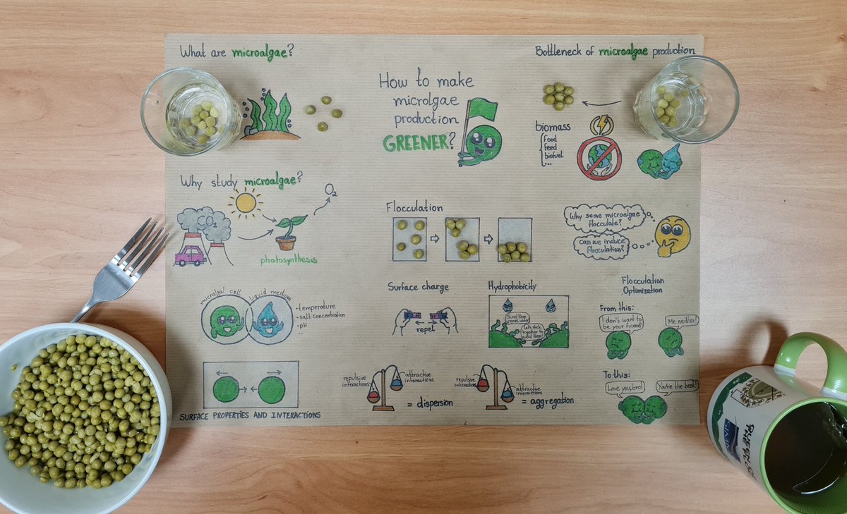 nicolas__sanson's tweet photo. Nice talk (and great artwork) by Paula from @SIMM_Lab on her thesis on the #physicochemical behavior of #microalgae presented at the #chroniquesdoctorales during the #PCfocus at @ESPCI_Paris https://t.co/REIwwetCR9