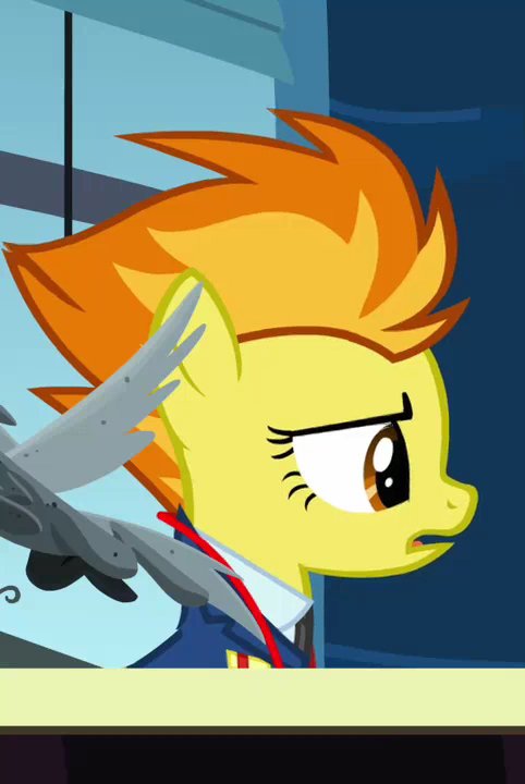 Captain Spitfire tweet media
