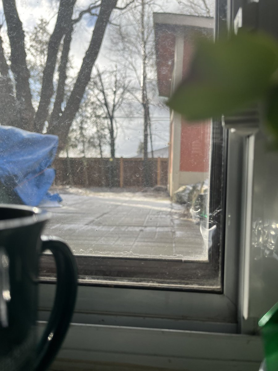 Jejade40's tweet photo. @jannarden From my tiny kitchen window. Gotta love basement apartments https://t.co/grX959FR4n