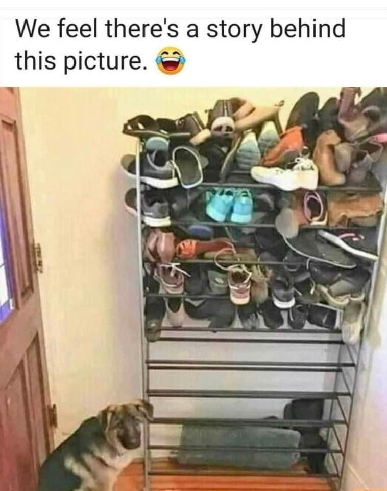 Craig (@craigelbe) on Twitter photo 