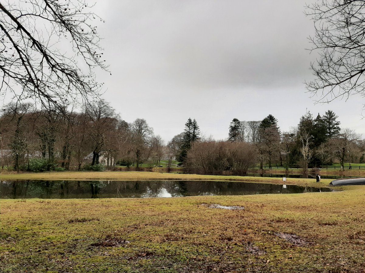 Aoife Bourke tweet media