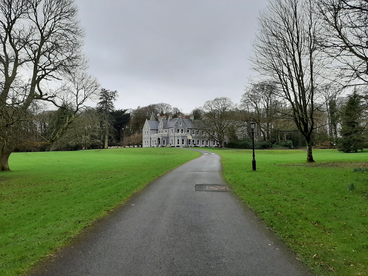 Fresh morning day walking the grounds of Mount Falcon just a few minutes outside of Ballina #100daysofwalking #Mayo #MountFalcon