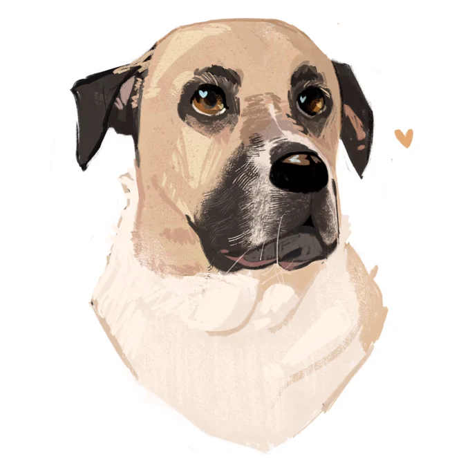 Pet portrait comms will be open next week  