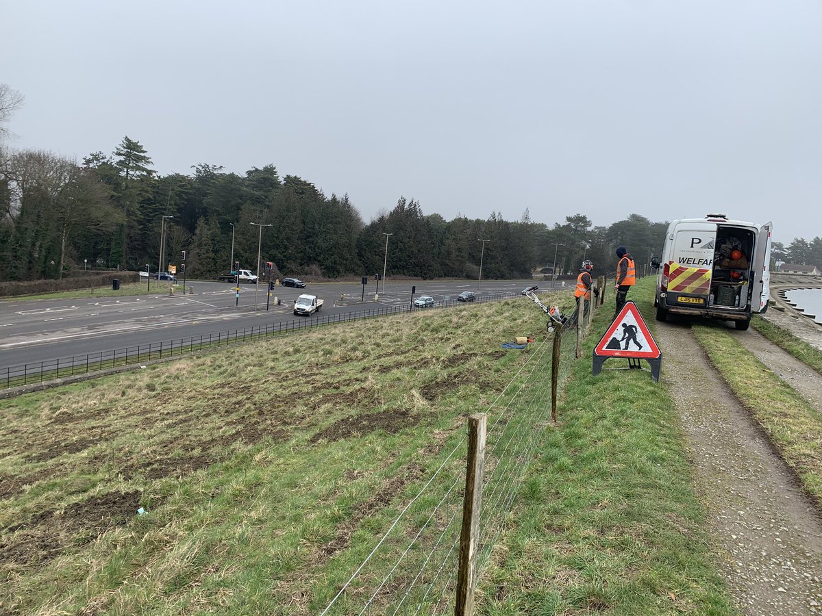 Matt Collis tweet media