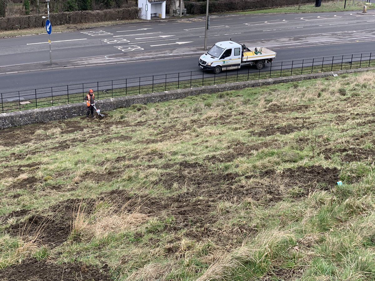 Matt Collis tweet media