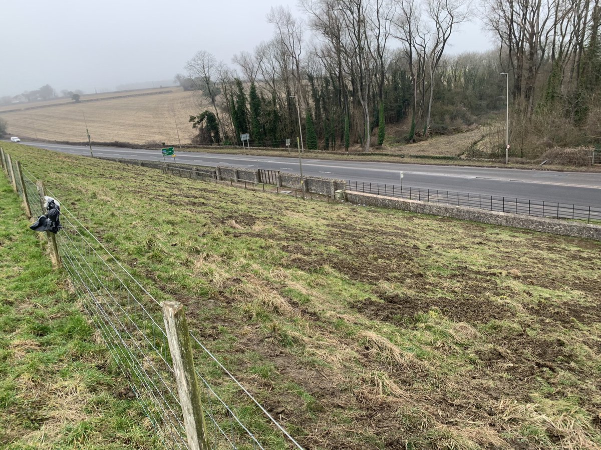 Matt Collis tweet media