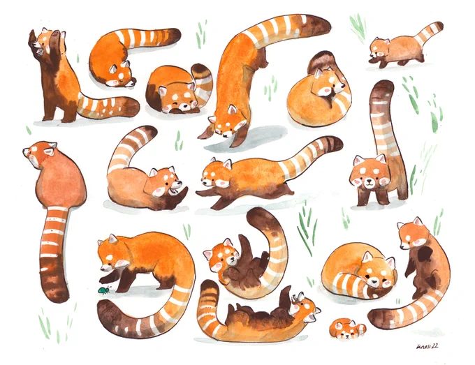 Hi ! Today's free worldwide shipping at inprnt, if you want some cute on your walls ^^ 