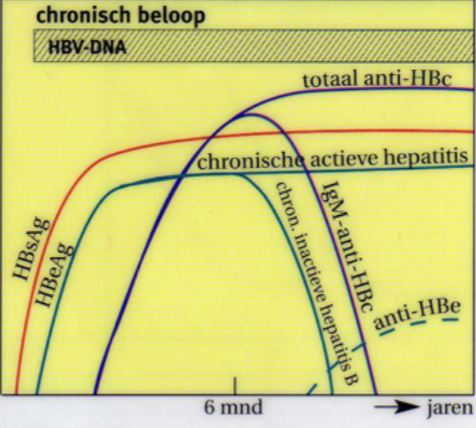 Verwijs alle patiënten met chronische #hepatitisB naar de hepatitisbehandelaar. herziene richtlijn NHG voor #huisartsen rb.gy/6jbcd5