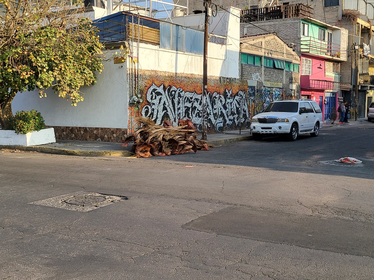 ivanlin_mx's tweet photo. @GobNeza esperamos que el municipio pueda apoyar a levantar ramas en esquina de Amanecer Ranchero y Pancho Lopez. Gracias por el apoyo https://t.co/92ClTRbl7G