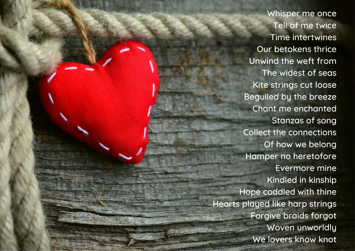 Shaz Gilmore tweet media
