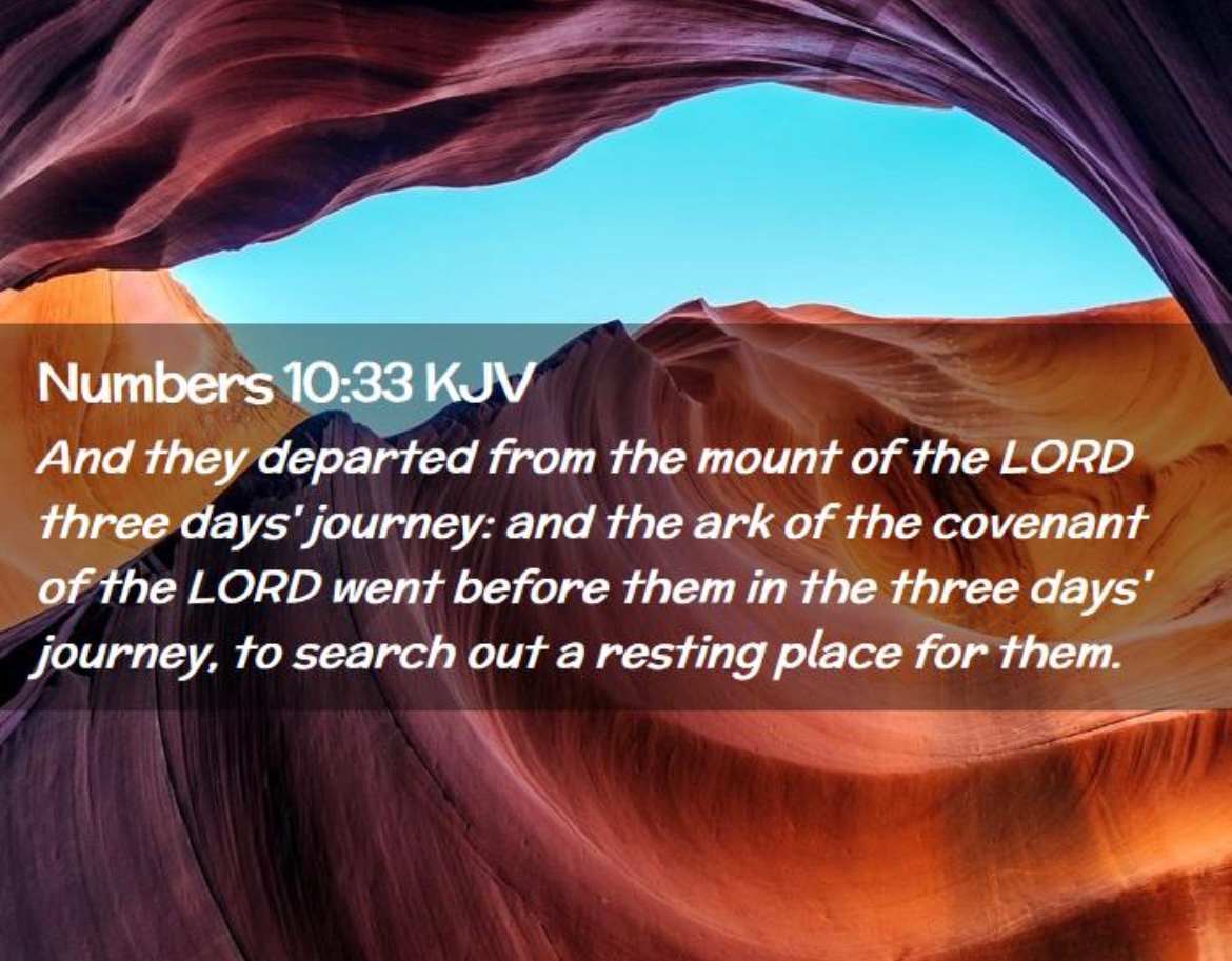 RDeliye's tweet photo. Day 814 #TigrayGenocide 
❤️💛

“ They marched for three days after leaving the mountain of the LORD, with the Ark of the LORD’s Covenant moving ahead of them to show them where to stop and rest.”
Num 10:35

 Father lead ahead of Tigray|ans ❤️💛 to a season of rest &amp; peace https://t.co/nG9Unx4WVo